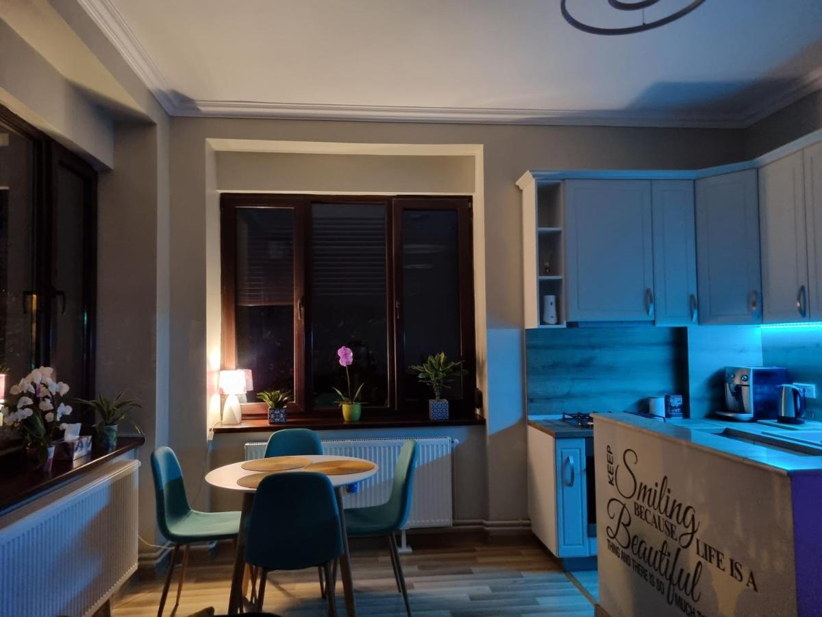 City Center Dream Apartment Τιμισοάρα Εξωτερικό φωτογραφία
